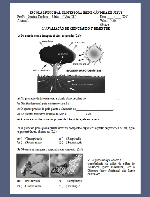 Avaliação – Ciências 4º ano - bimestre 2º