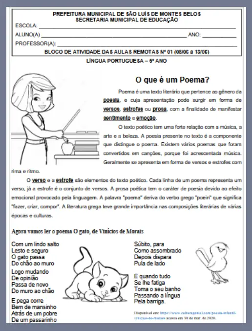 Atividades Multidisciplinares 5º Ano Fundamental I