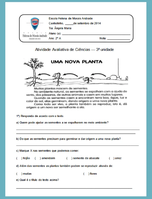 Atividade Avaliativa de Ciências - 2º ano